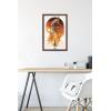image:imageTrends International Star Wars The Book of Boba Fett  Boba and Firespray Wall Poster 22375 x 34 Premium Unframed VersionMahogany Framed Version