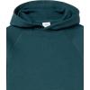 image:imageAmazon Essentials Boys and Toddlers Fleece Pullover Hoodie SweatshirtsDark Green