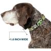 image:imageBuckleDown Dog Collar Seatbelt Buckle Star Wars Darth Vader Utility Belt Bounding3 Black Grays Reds 15 to 26 Inches 10 Inch Wide Multi Color DCSBSWBBVWSW14110L1 Wide  Fits 9513 Neck  Small