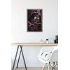 image:imageTrends International Star Wars ObiWan Kenobi  Darth Vader Portrait Wall Poster 22375 x 34 Premium Unframed VersionBarnwood Framed Version