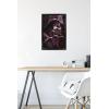 image:imageTrends International Star Wars ObiWan Kenobi  Darth Vader Portrait Wall Poster 22375 x 34 Premium Unframed VersionBlack Framed Version
