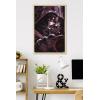 image:imageTrends International Star Wars ObiWan Kenobi  Darth Vader Portrait Wall Poster 22375 x 34 Premium Unframed VersionBlonde Framed Version