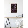image:imageTrends International Star Wars ObiWan Kenobi  Darth Vader Portrait Wall Poster 22375 x 34 Premium Unframed VersionBronze Framed Version