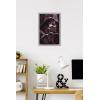 image:imageTrends International Star Wars ObiWan Kenobi  Darth Vader Portrait Wall Poster 22375 x 34 Premium Unframed VersionGray Framed Version