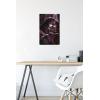 image:imageTrends International Star Wars ObiWan Kenobi  Darth Vader Portrait Wall Poster 22375 x 34 Premium Unframed VersionPremium Unframed Version