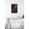image:imageTrends International Star Wars ObiWan Kenobi  Darth Vader Portrait Wall Poster 22375 x 34 Premium Unframed VersionSilver Framed Version