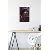 image:imageTrends International Star Wars ObiWan Kenobi  Darth Vader Portrait Wall Poster 22375 x 34 Premium Unframed VersionWhite Framed Version