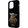 image:imageStar Wars The Mandalorian The Child Simple Portrait Case for iPhone 17iPhone 14 Pro Max