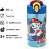 image:imageZak Designs Baby Yoda Kids Durable Plastic Spout Cover And Builtin Carrying Loop LeakProof Water Design For Travel 16oz 2pc Set Grogu Bottle 2pk Star WarsPaw Patrol Marshall Bottle 2pk