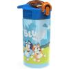 image:imageZak Designs Baby Yoda Kids Durable Plastic Spout Cover And Builtin Carrying Loop LeakProof Water Design For Travel 16oz 2pc Set Grogu Bottle 2pk Star WarsBluey Bottle 2pk