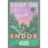 image:imageStar Wars Endor  Camp On Endor Wall Poster 34L x 224W Premium Unframed VersionBarnwood Framed Version
