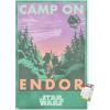 Premium Poster & Mount Bundle