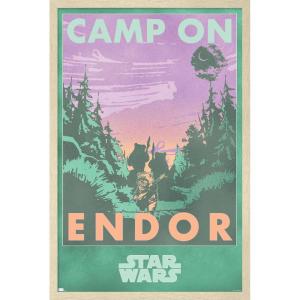 image:imageStar Wars Endor  Camp On Endor Wall Poster 34L x 224W Premium Unframed VersionBlonde Framed Version