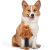 image:imageSTAR WARS for Pets Chewbacca Plush Bobo Dog Toy with Squeaker  Chewbacca Toy for Dogs Dog Toys Squeaky Dog Toys Bobo Style Dog Toys Dog Chew Toys 12 Inch FF19187Chewbacca Teether Toy