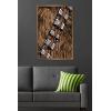 image:imageStar Wars Kids Sketch  Chewbacca Bandolier Illustration Wall Poster 34L x 224W Premium Unframed VersionBronze Framed Version