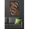 image:imageStar Wars Kids Sketch  Chewbacca Bandolier Illustration Wall Poster 34L x 224W Premium Unframed VersionPremium Poster  Clip Bundle