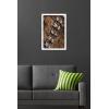 image:imageStar Wars Kids Sketch  Chewbacca Bandolier Illustration Wall Poster 34L x 224W Premium Unframed VersionWhite Framed Version