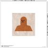 image:imageTrends International Gallery Pops Star Wars Saga  Neutral Abstract Chewbacca Wall Art Wall Poster 12 x 12 Black Framed VersionUnframed Version