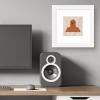 image:imageTrends International Gallery Pops Star Wars Saga  Neutral Abstract Chewbacca Wall Art Wall Poster 12 x 12 Black Framed VersionWhite Framed Version
