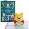 Disney's Winnie the Pooh 'Greetings from the Hundred Acre Woods' Plushpop
