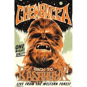 image:imageTrends International Star Wars Kashyyyk Collectors Edition Wall Poster 24 x 36