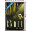 image:imageTrends International Star Wars Endor  See the Forest by Russell Walks Wall Poster 22375 x 34 Premium Unframed VersionBarnwood Framed Version