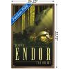 image:imageTrends International Star Wars Endor  See the Forest by Russell Walks Wall Poster 22375 x 34 Premium Unframed VersionBronze Framed Version