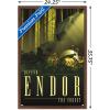 image:imageTrends International Star Wars Endor  See the Forest by Russell Walks Wall Poster 22375 x 34 Premium Unframed VersionMahogany Framed Version