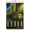 image:imageTrends International Star Wars Endor  See the Forest by Russell Walks Wall Poster 22375 x 34 Premium Unframed VersionPremium Print and Beechwood Hanger Bundle