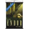 image:imageTrends International Star Wars Endor  See the Forest by Russell Walks Wall Poster 22375 x 34 Premium Unframed VersionPremium Print and Black Hanger Bundle