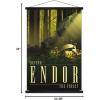 image:imageTrends International Star Wars Endor  See the Forest by Russell Walks Wall Poster 22375 x 34 Premium Unframed VersionPremium Print and Black Hanger Bundle