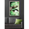 image:imageTrends International Star Wars Saga  Yoda Wall Poster 22375 x 34 Premium Unframed VersionBlonde Framed Version