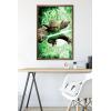image:imageTrends International Star Wars Saga  Yoda Wall Poster 22375 x 34 Premium Unframed VersionBronze Framed Version