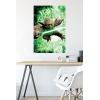 image:imageTrends International Star Wars Saga  Yoda Wall Poster 22375 x 34 Premium Unframed VersionPremium Poster  Mount Bundle