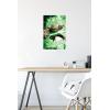 image:imageTrends International Star Wars Saga  Yoda Wall Poster 22375 x 34 Premium Unframed VersionPremium Poster  Mount Bundle