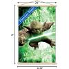 image:imageTrends International Star Wars Saga  Yoda Wall Poster 22375 x 34 Premium Unframed VersionPremium Print and Beechwood Hanger Bundle