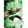 Premium Poster & Mount Bundle