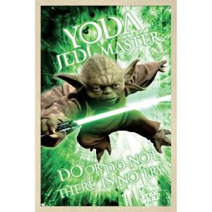 image:imageTrends International Star Wars Saga  Yoda Wall Poster 22375 x 34 Premium Unframed VersionBlonde Framed Version