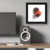 image:imageGallery Pops Star Wars The Acolyte  Acolyte Floral Badge Wall Art 12 x 12 Gallery Pops Wall Art Black Framed VersionBlack Framed Version