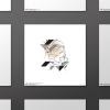 image:imageTrends International Gallery Pops Star Wars Saga  MidCentury Modern Stormtrooper Wall Art Wall Poster 12 x 12 Black Framed VersionUnframed Version