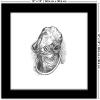 image:imageTrends International Gallery Pops Star Wars Saga  Return of the Jedi Admiral Ackbar Sketch Wall Art Wall Poster 1200 x 1200 Black Frame VersionBlack Frame Version
