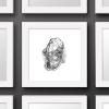 image:imageTrends International Gallery Pops Star Wars Saga  Return of the Jedi Admiral Ackbar Sketch Wall Art Wall Poster 1200 x 1200 Black Frame VersionWhite Frame Version