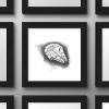 image:imageTrends International Gallery Pops Star Wars Saga  Return of the Jedi Millennium Falcon Sketch Wall Art Wall Poster 1200 x 1200 Black Frame VersionBlack Frame Version