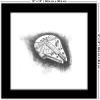 image:imageTrends International Gallery Pops Star Wars Saga  Return of the Jedi Millennium Falcon Sketch Wall Art Wall Poster 1200 x 1200 Black Frame VersionBlack Frame Version