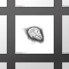 image:imageTrends International Gallery Pops Star Wars Saga  Return of the Jedi Millennium Falcon Sketch Wall Art Wall Poster 1200 x 1200 Black Frame VersionUnframed Version