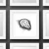 image:imageTrends International Gallery Pops Star Wars Saga  Return of the Jedi Millennium Falcon Sketch Wall Art Wall Poster 1200 x 1200 Black Frame VersionWhite Frame Version