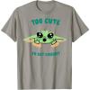 image:imageThe Mandalorian And Grogu The Child Too Cute To Get Caught TShirtSlate Grey