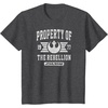 image:imageStar Wars  Property Of The Rebellion TShirtDark Heather Grey