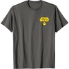 Asphalt Grey