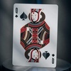 image:imagetheory11 Star Wars Playing Cards Silver Edition  Dark Side GreyLight Side Blue